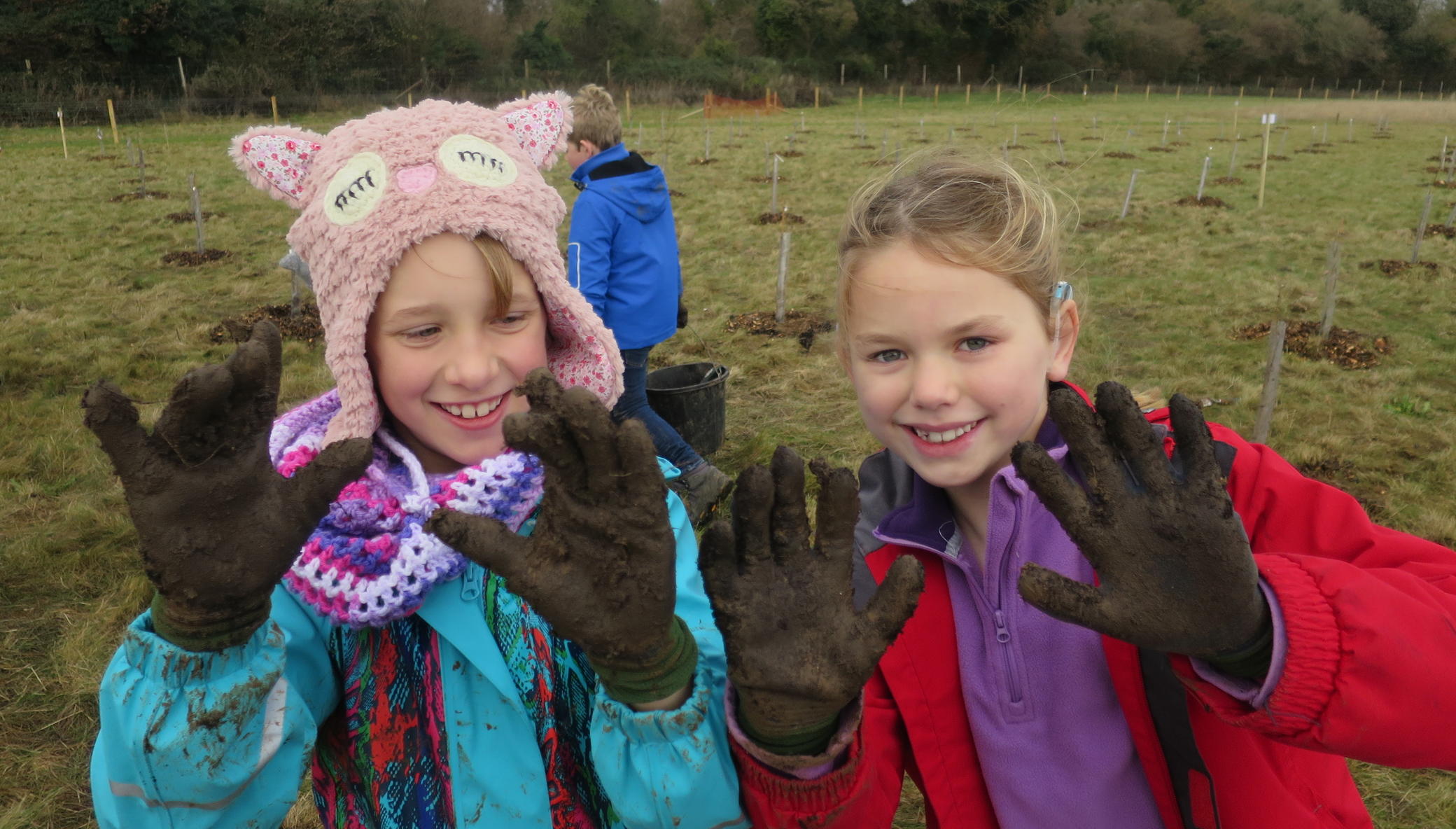 10000 Children - 10000 Trees - For You