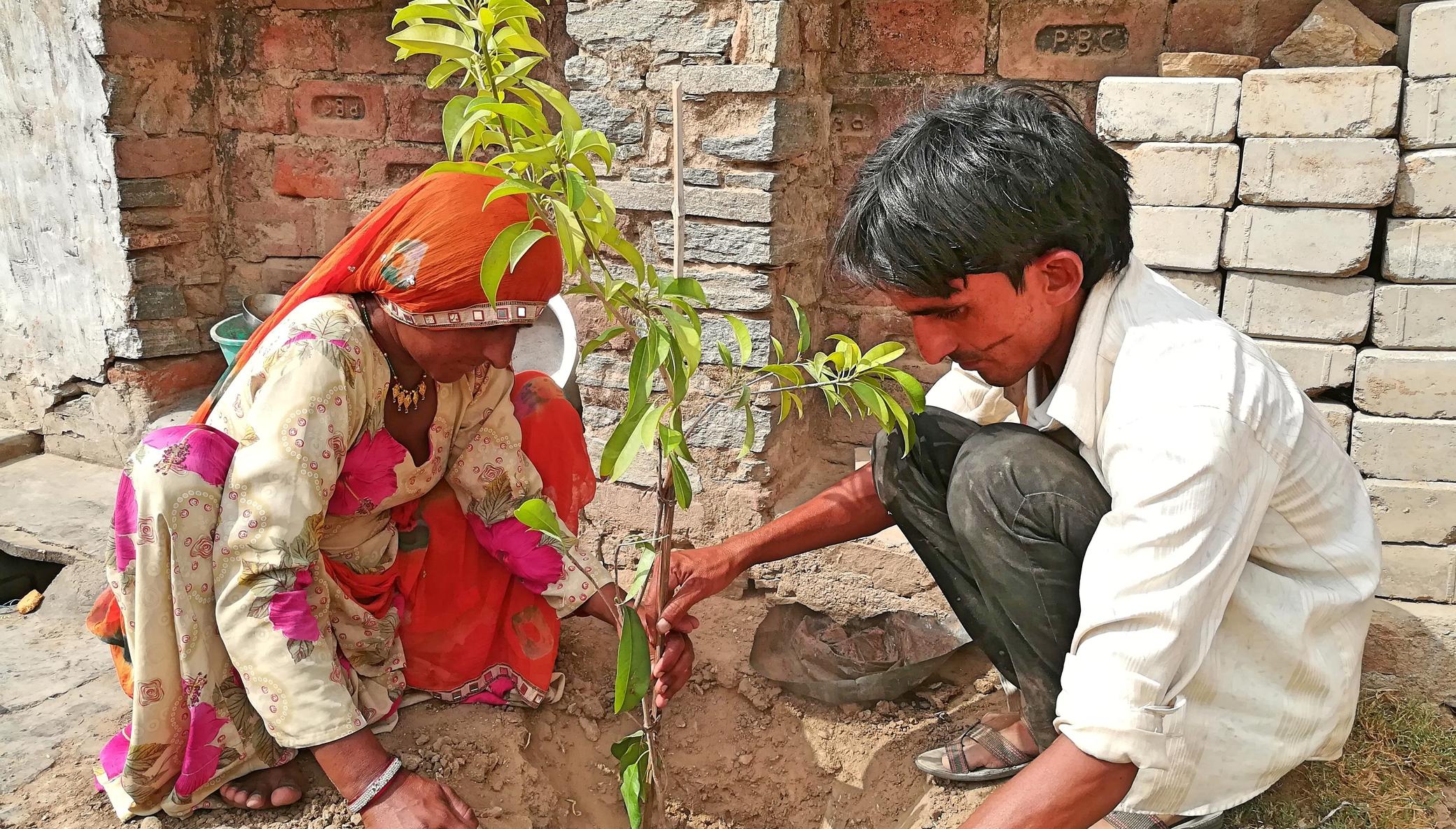 Adopt a Tree; Protect Environment & Earth