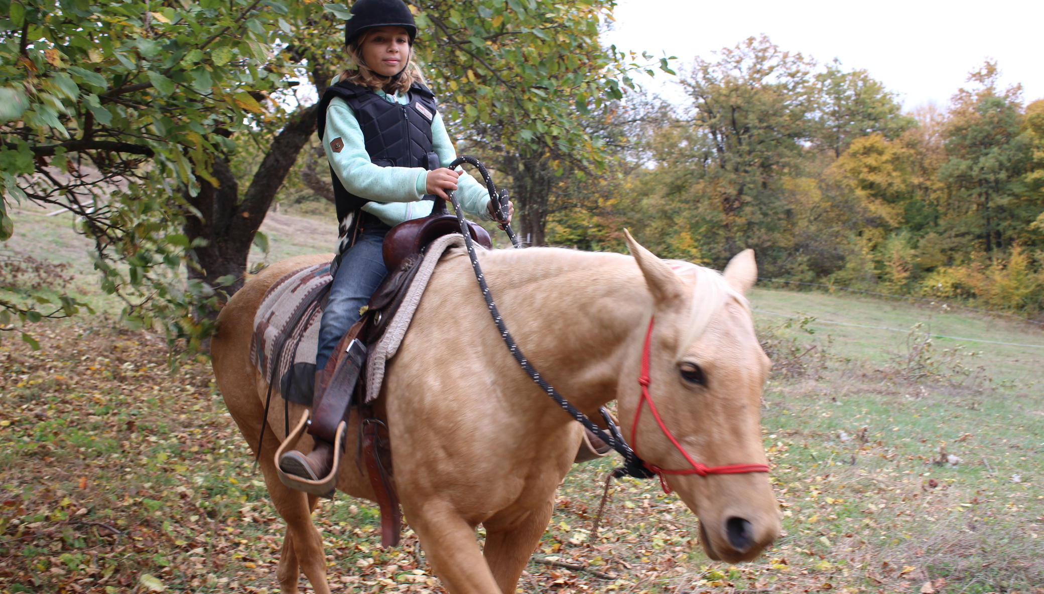 Build a Horse Therapy Centre for Disabled Children