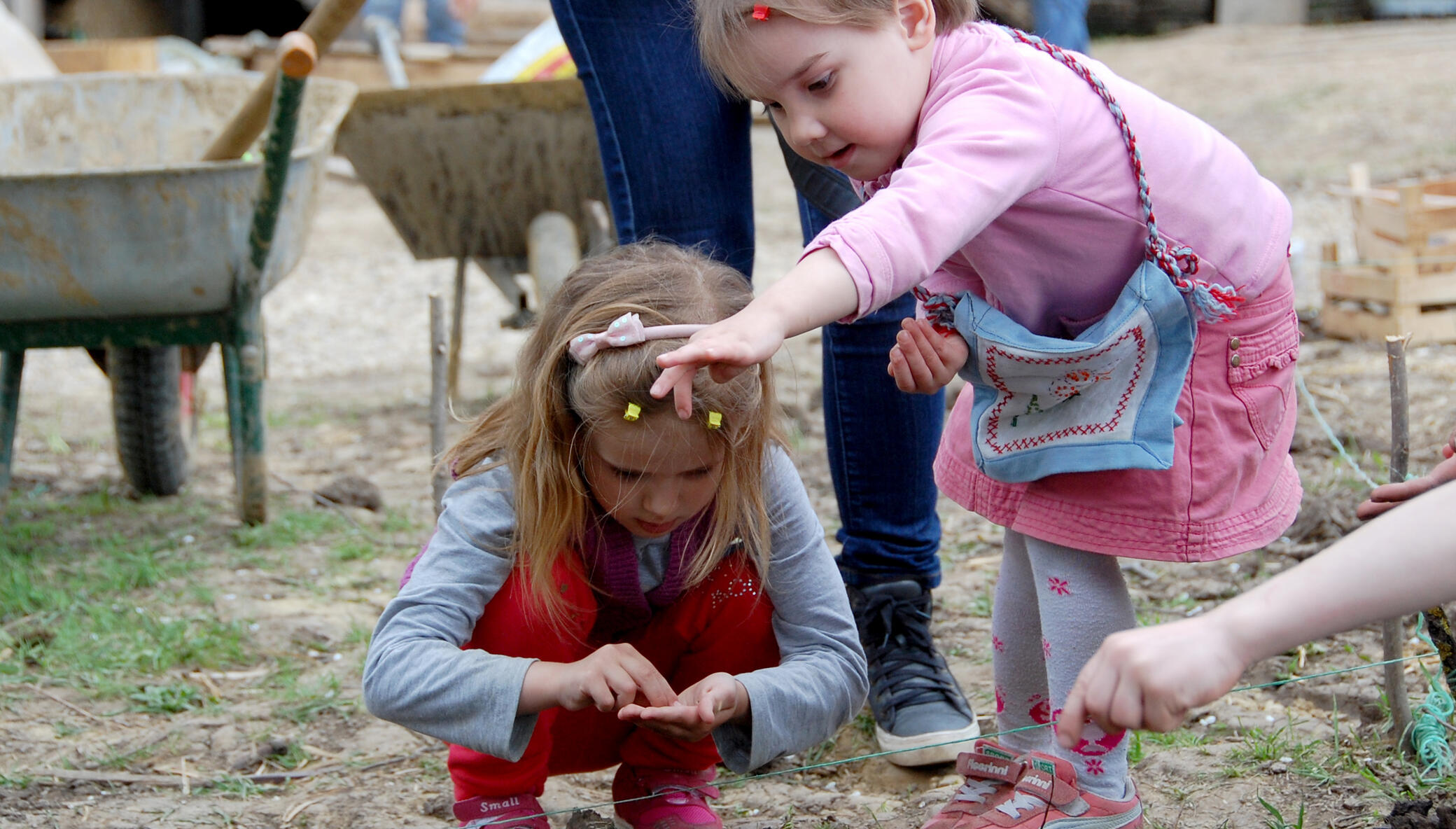 Build an environmental training center in Moldova