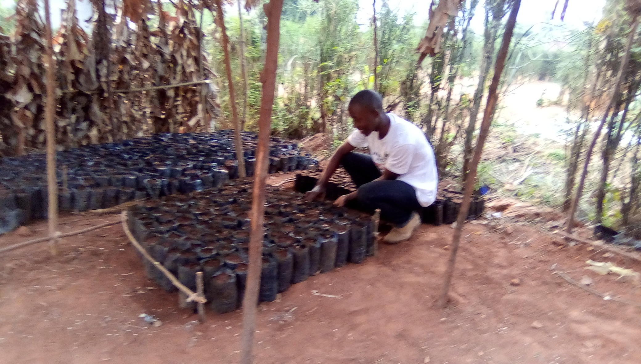 Burundi Climate Change Resilience Support project