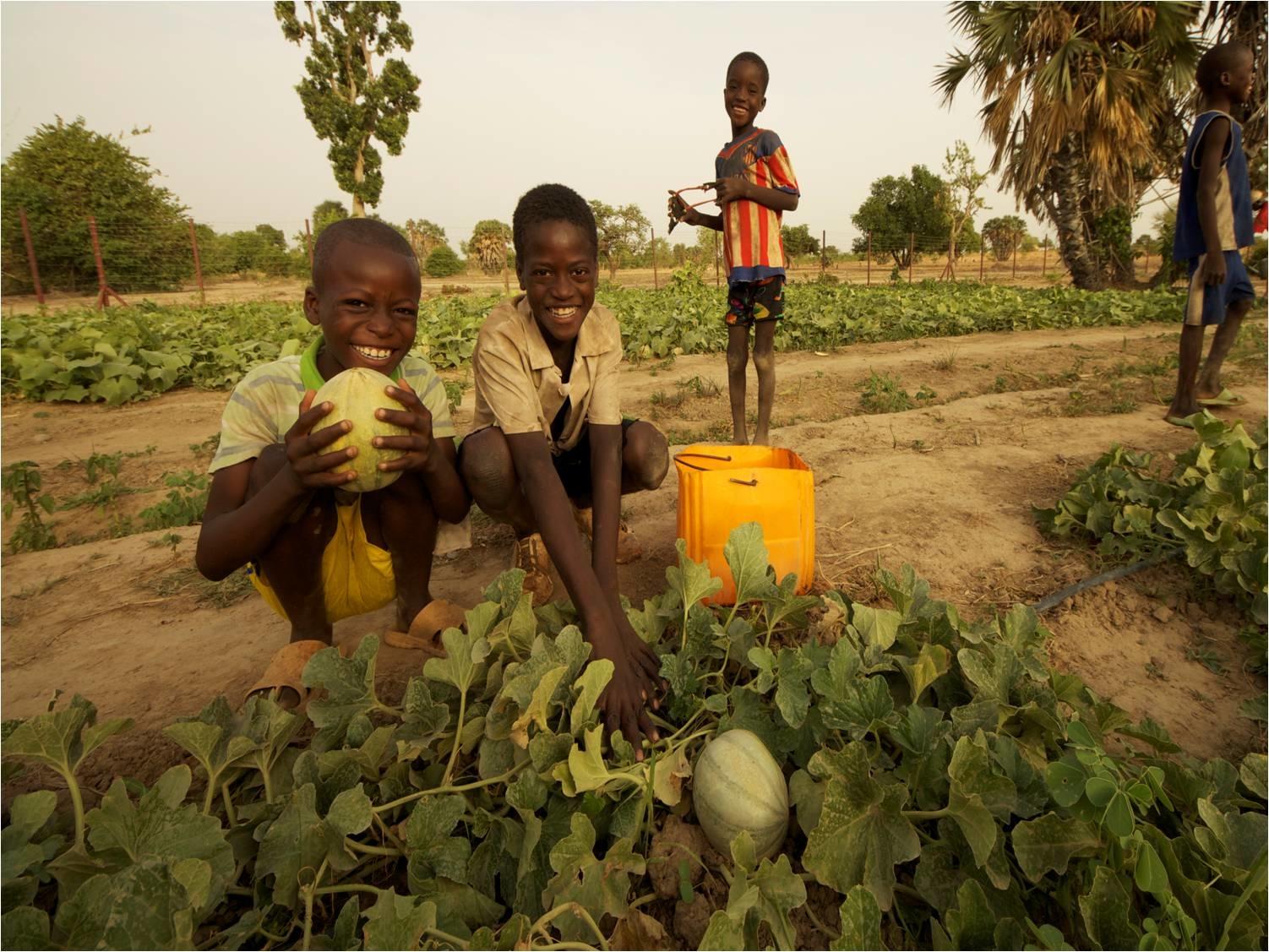 COVID-19 Emergency AID for Rural&Nomadic Nigeriens