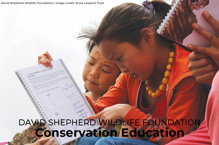 Conservation Education