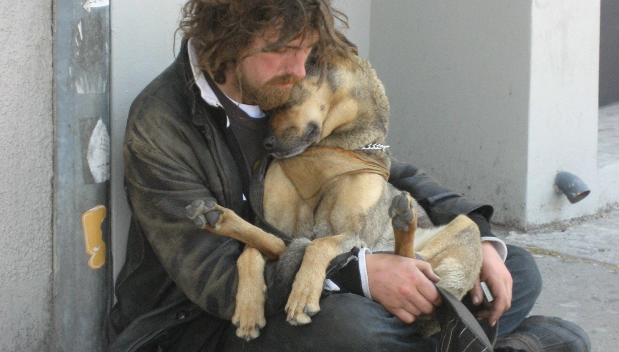 Emergency Veterinary Care for Pets of the Homeless