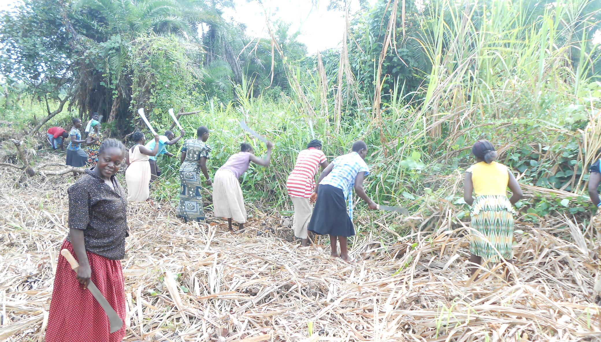 Empower 103 Households for their Livelihoods