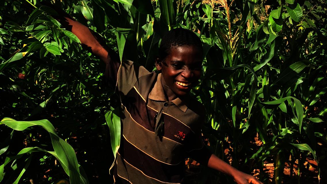 Empower 30 Malawian Families with Solar Irrigation
