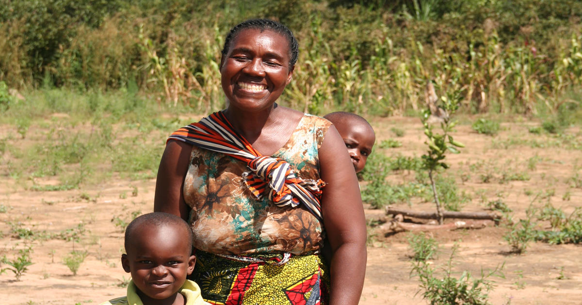 Engage farmers in reversing deforestion in Zambia