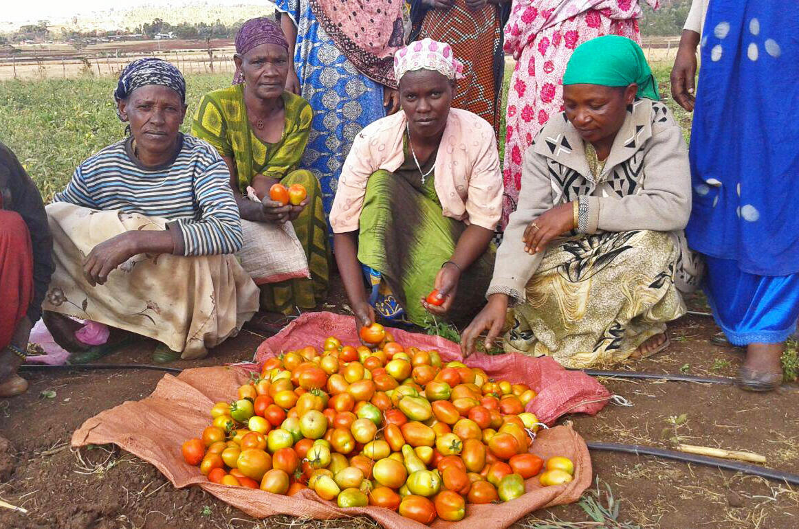 Gardens Give Hope, Health, and Income in E. Africa