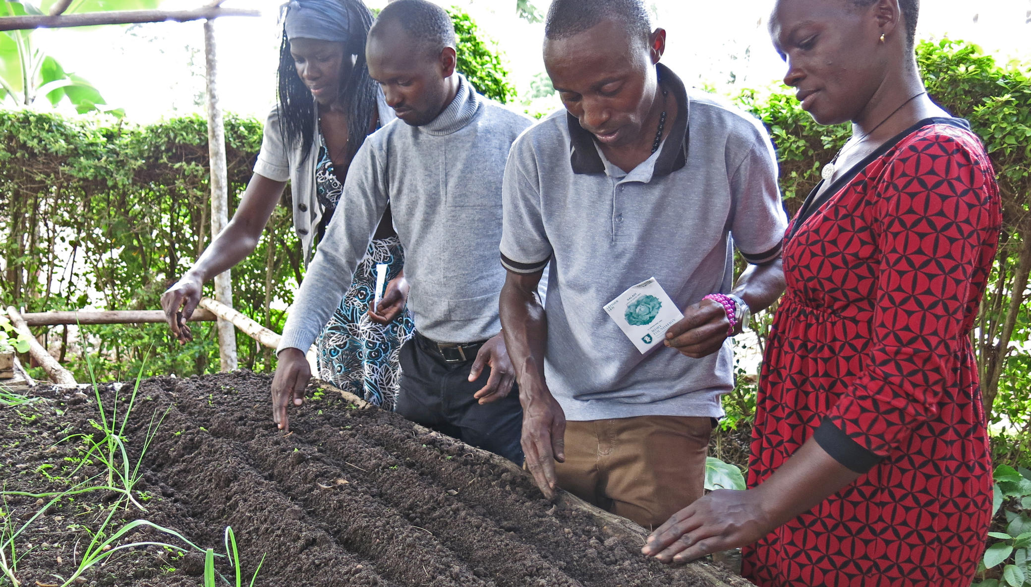 Gardens Grow Food for Families During COVID-19