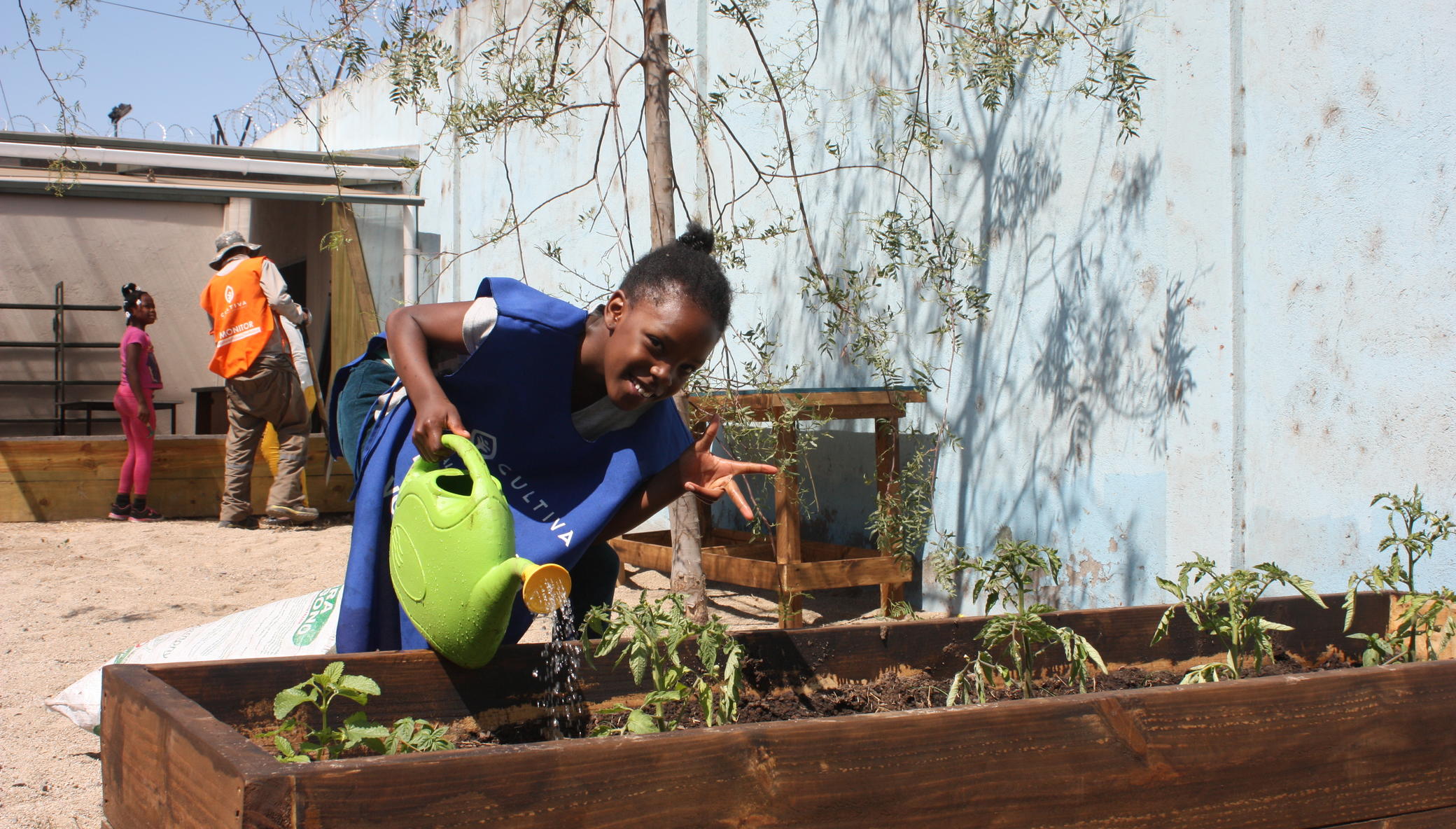 Help 350 families grow food to overcome COVID-19