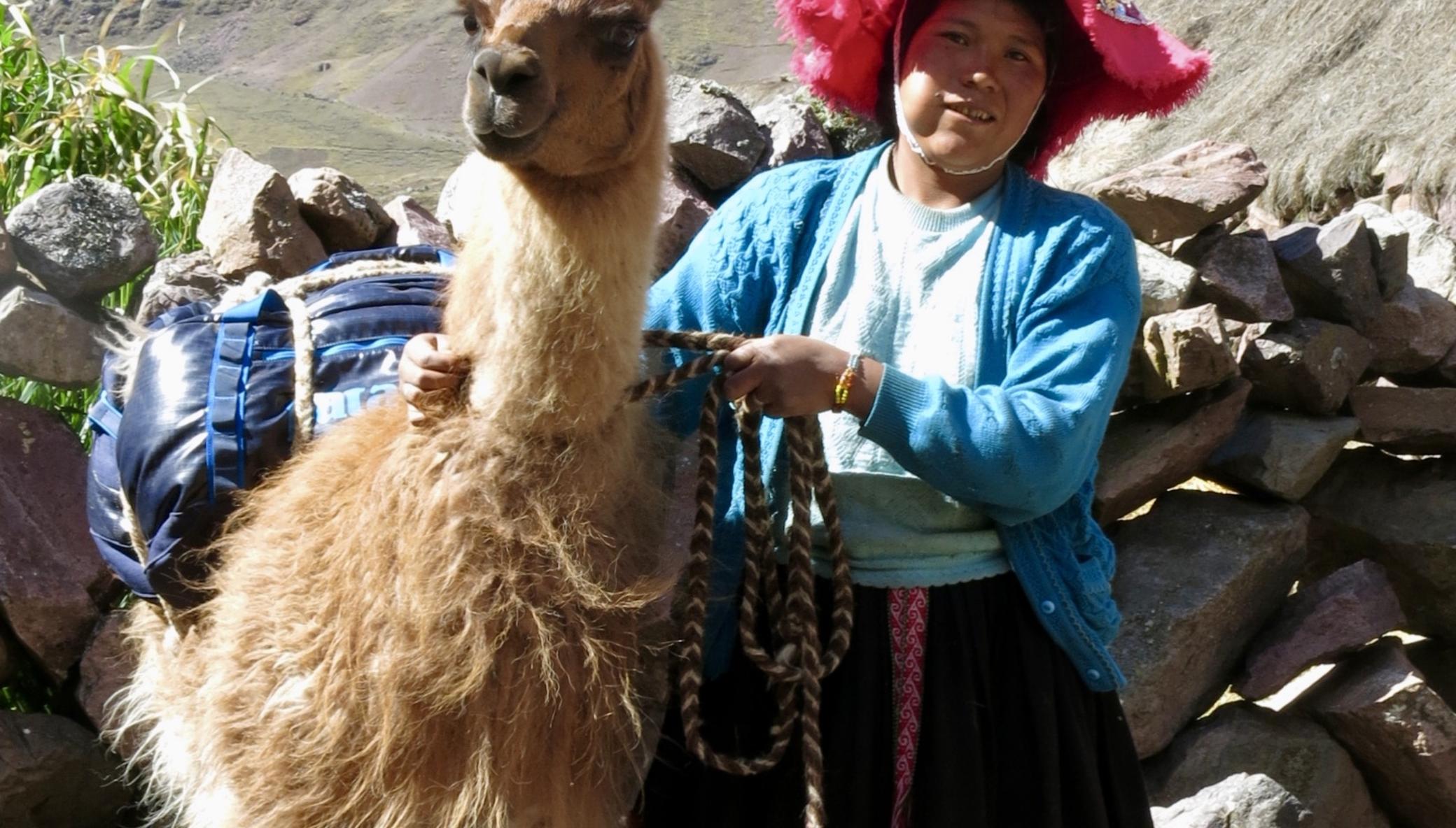 Help 85+ llama farmers in Peru access fair work