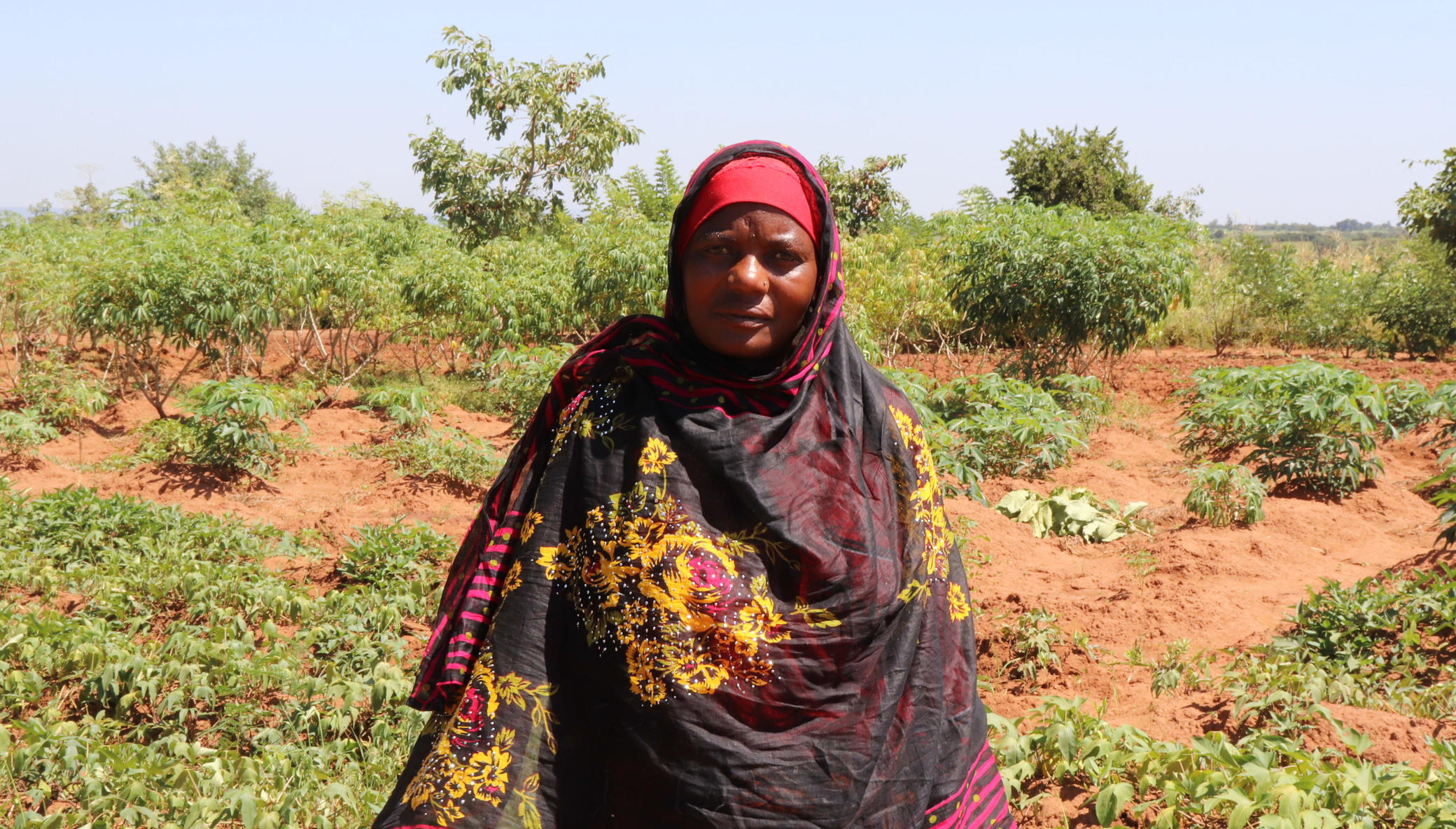 Help Tanzanian Farmers Get Water!