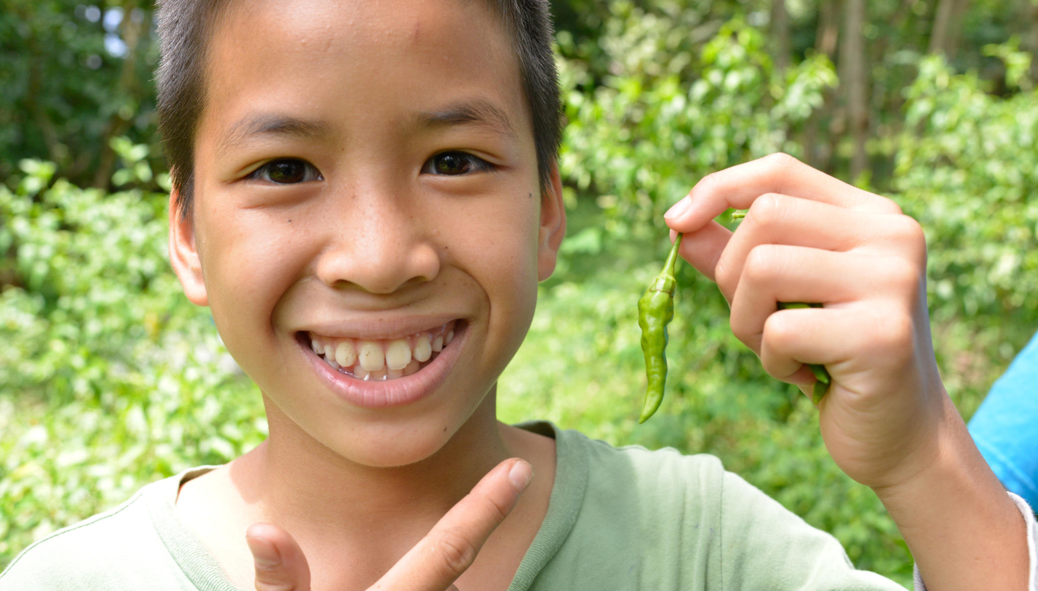 Help expand "Young Smart Farmers" organic gardens