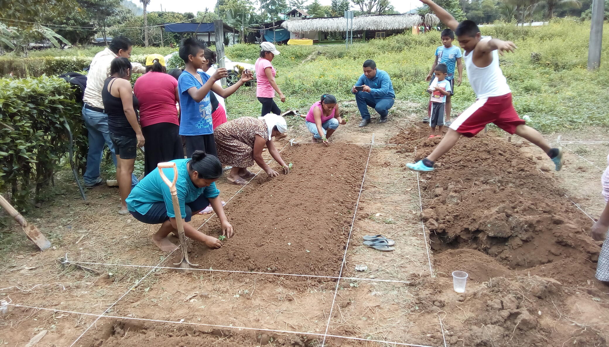 Home Gardens for 100 Families, Oaxaca, Mexico