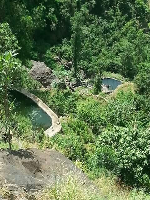 MAINTAIN BIODIVERSITY IN MALHAN PROTECTED AREA