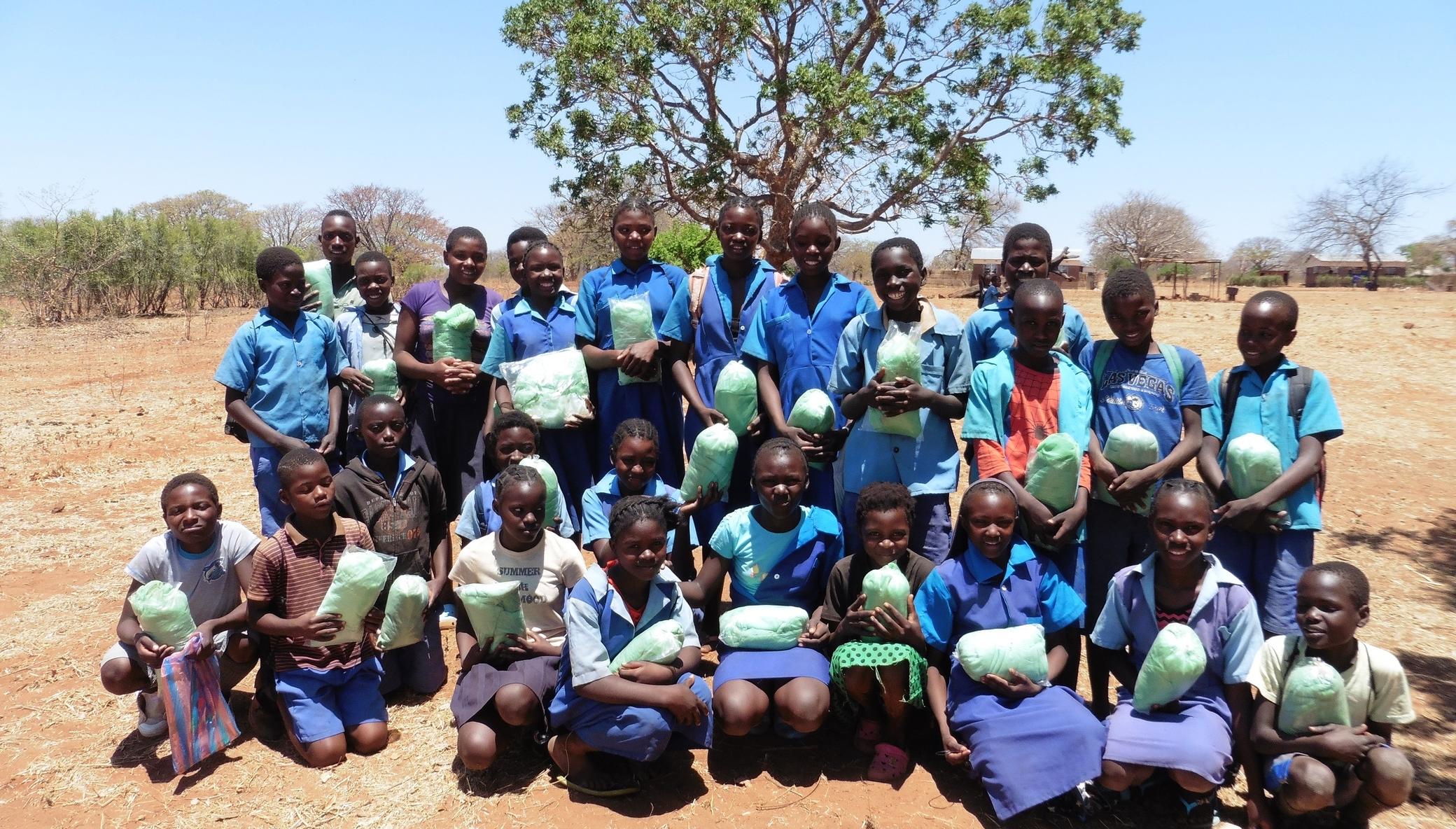 Malaria Prevention Saves Lives
