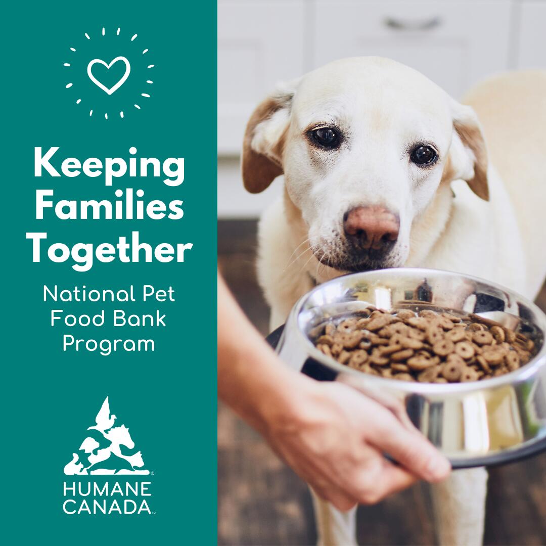 National Pet Food Bank Program