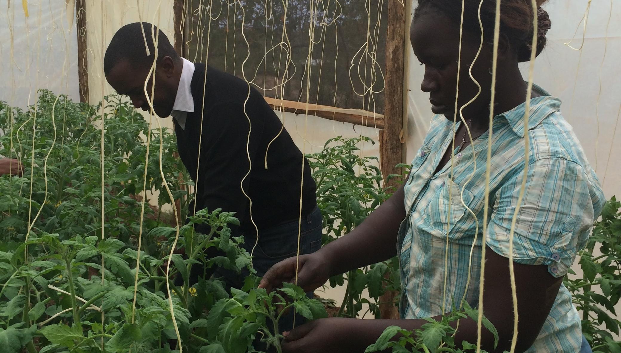 Nutrition through food forests & gardens in Kenya