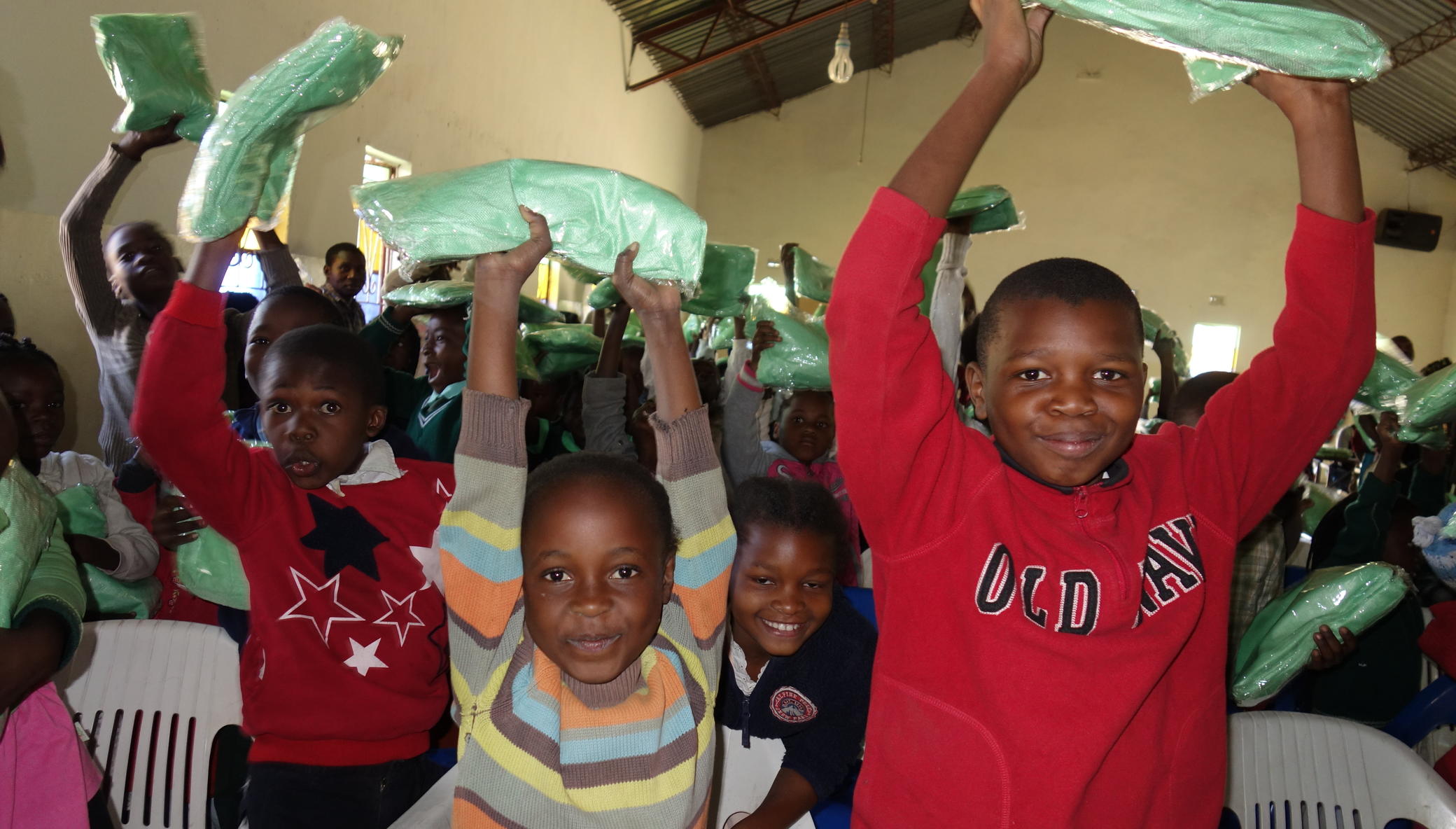 Project Mosquito Nets