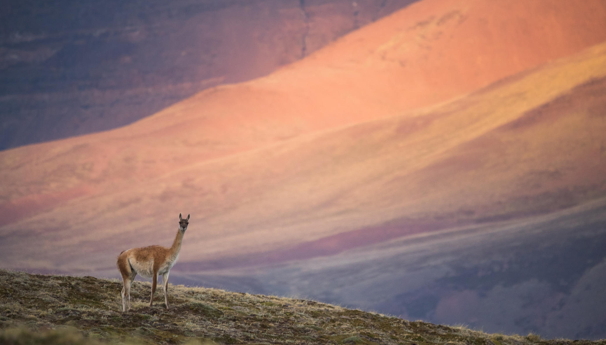 Public education campaign on Patagonia Parks