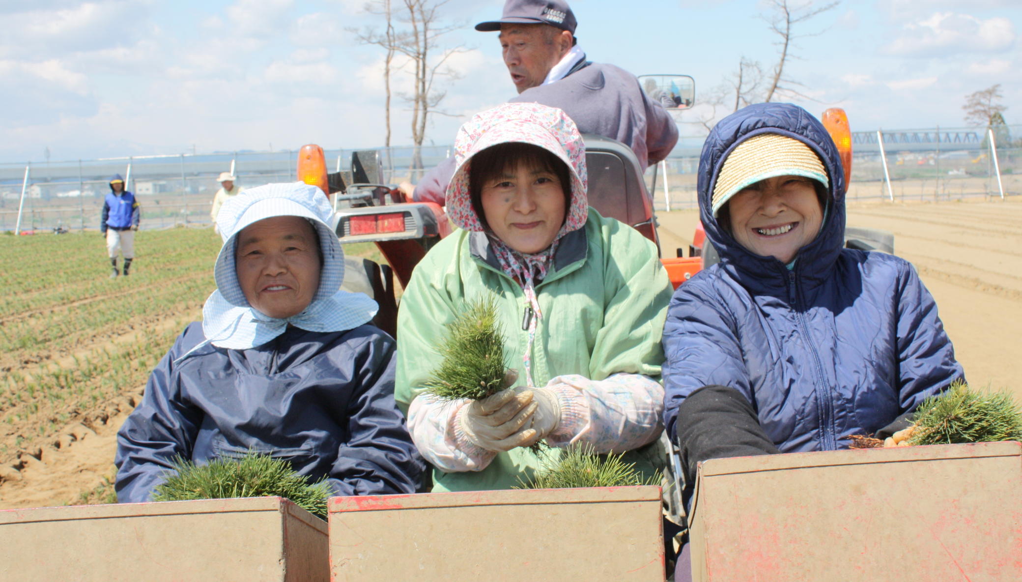 Restore 100 Hectares of the Miyagi Coastal Forest