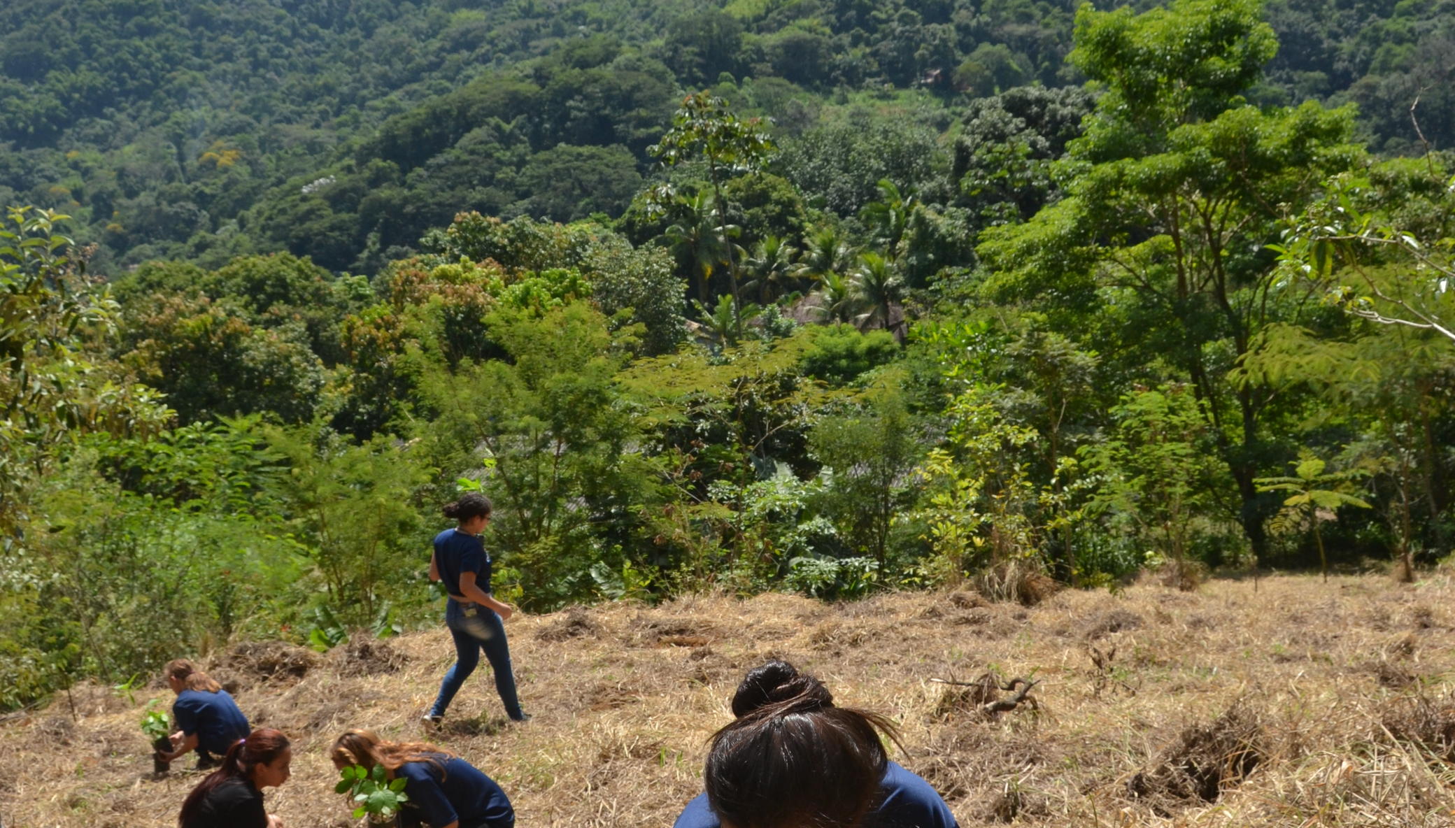 SINAL: Reforesting and Reconnecting with Nature