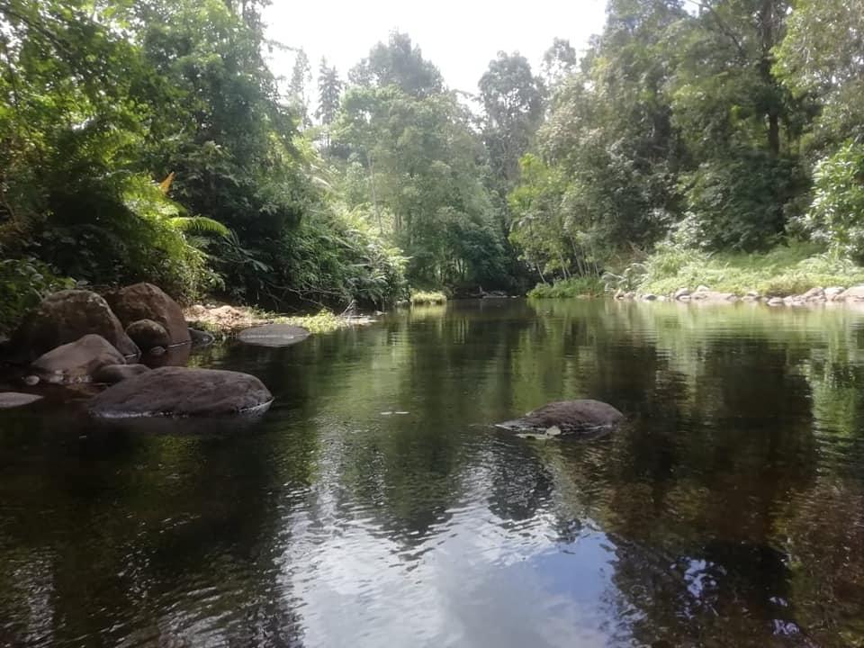 Save a 10 acre Tropical Rainforest in Sri Lanka