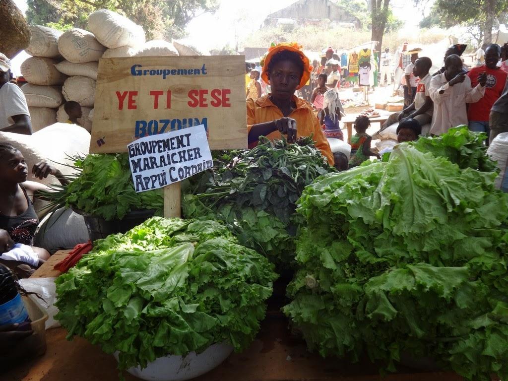 Seeds and Skills for Women to Grow Vegetables