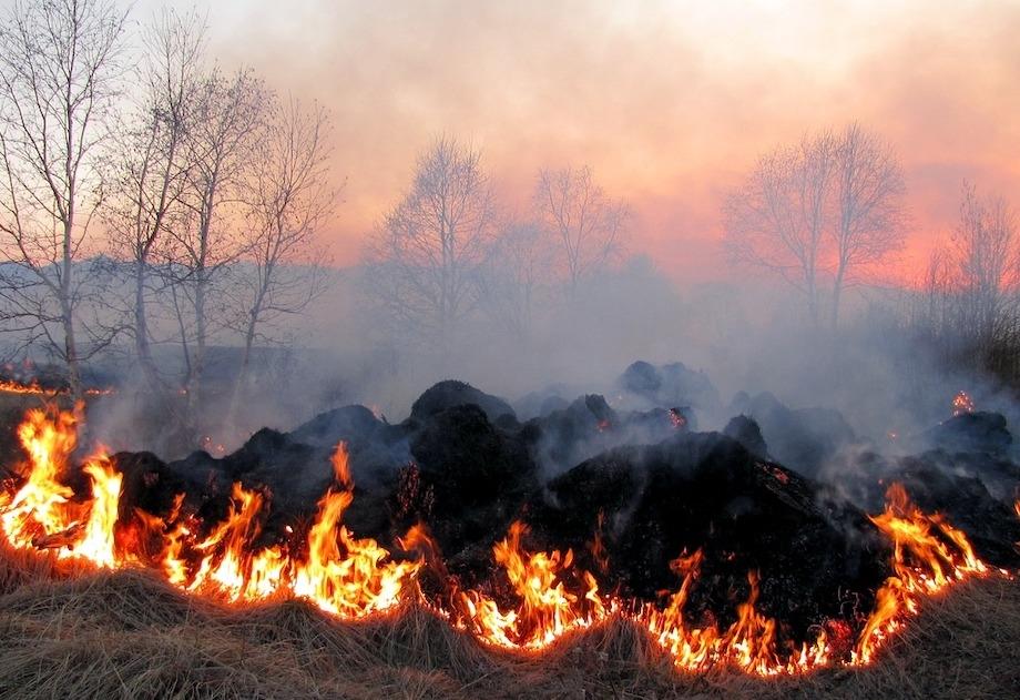 Stop the Smoke - Reduce Global Warming