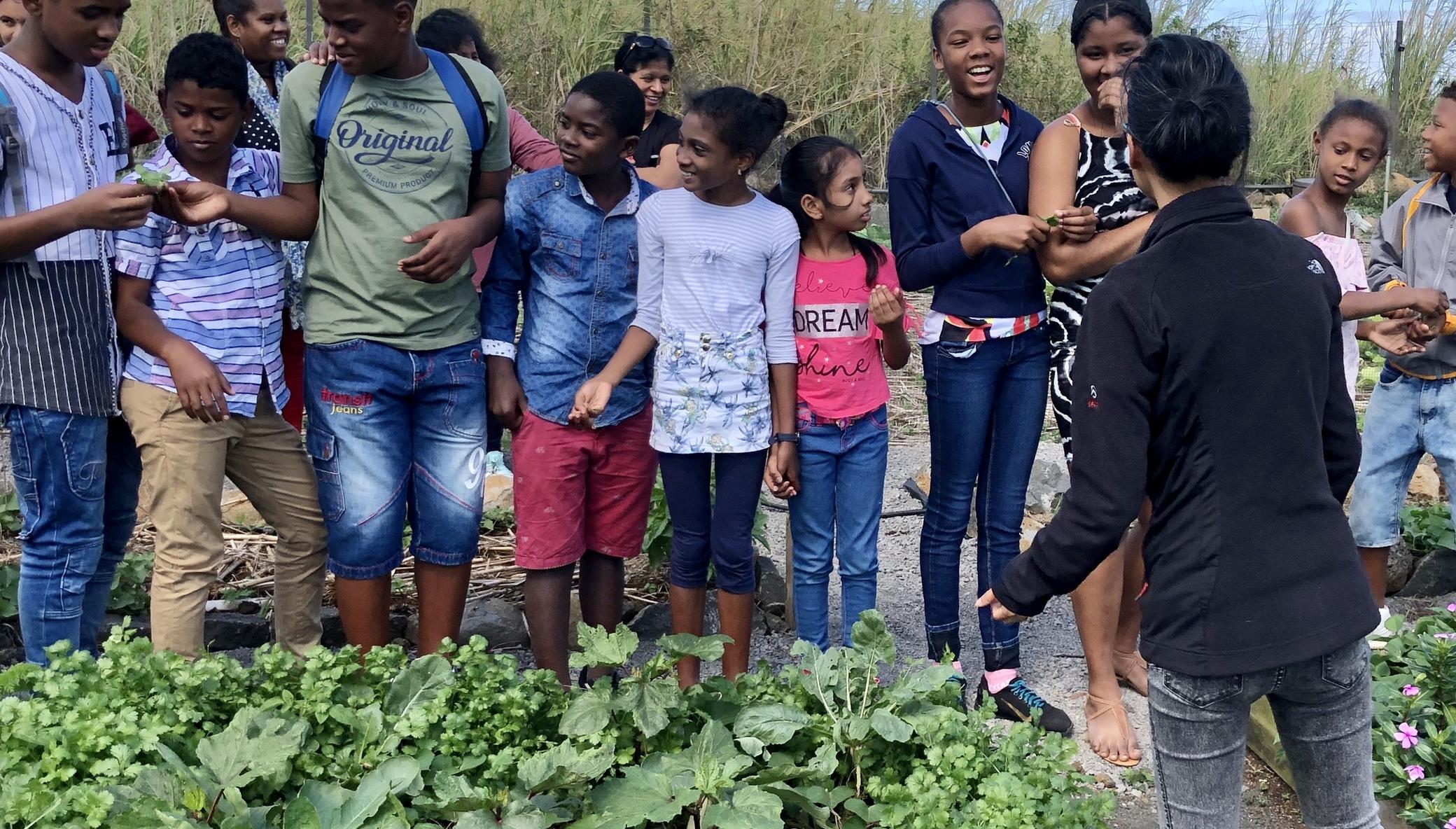 Support 150 Mauritian Youth Agripreneurs