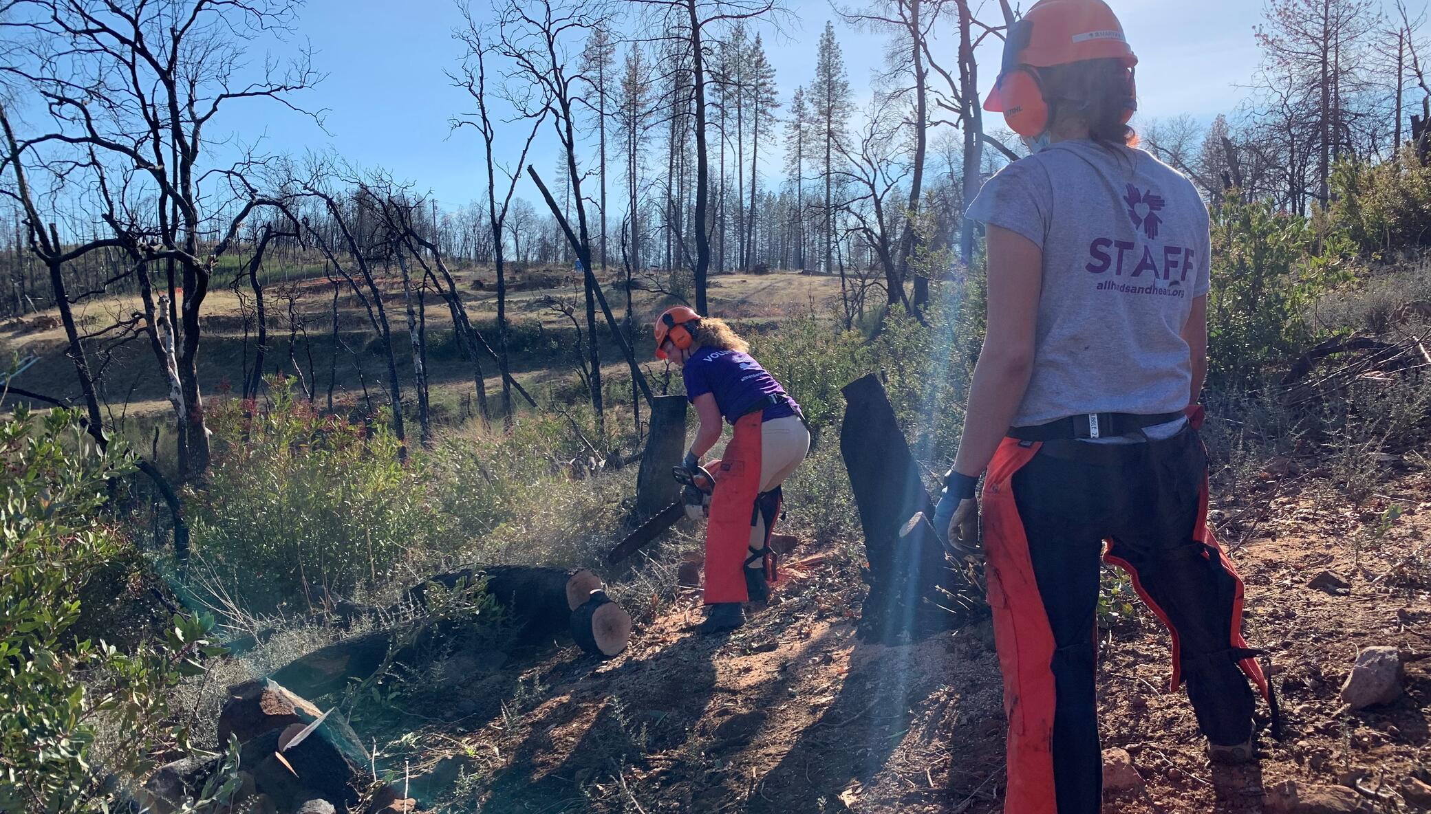 Support Wildfire Relief Efforts in Northern CA