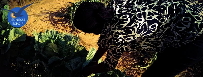 Support green incubator for 250 youth in Senegal
