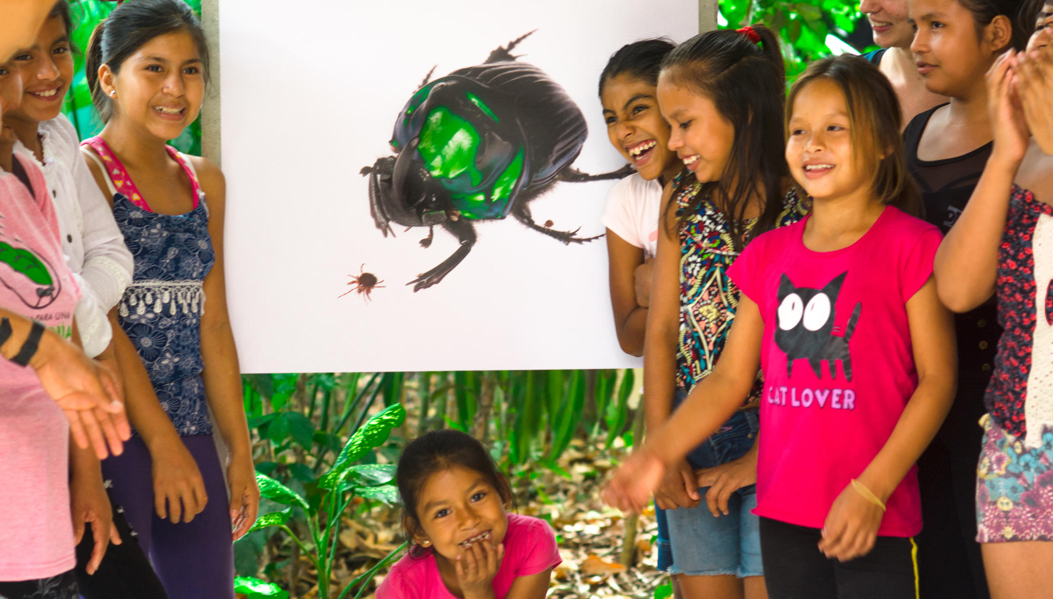 The Amazon Burning - Kids and Bugs to the Rescue!