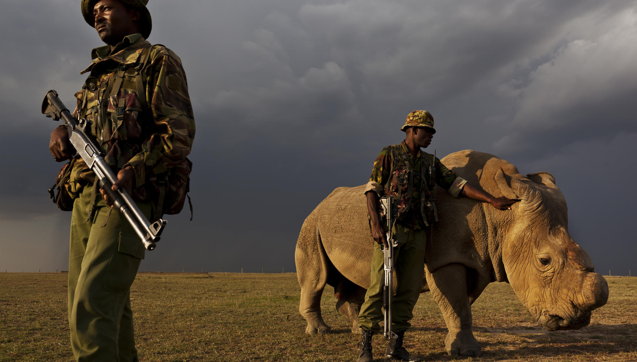 The Armed Rangers of Ol Pejeta