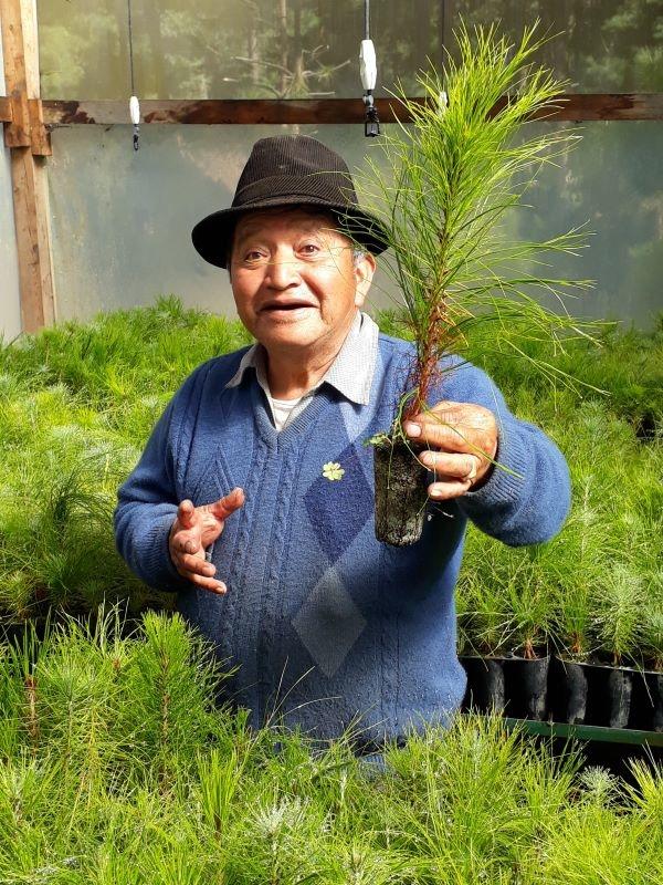 Train Forest Guards to Protect Guatemalan Forests