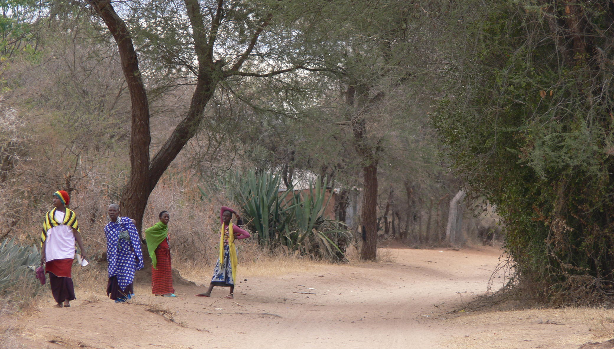 Transform healthcare for >10000 Tanzanians