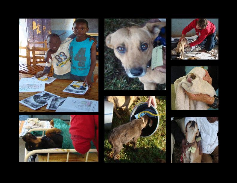 Using Animal Care to Promote Empathy in Children