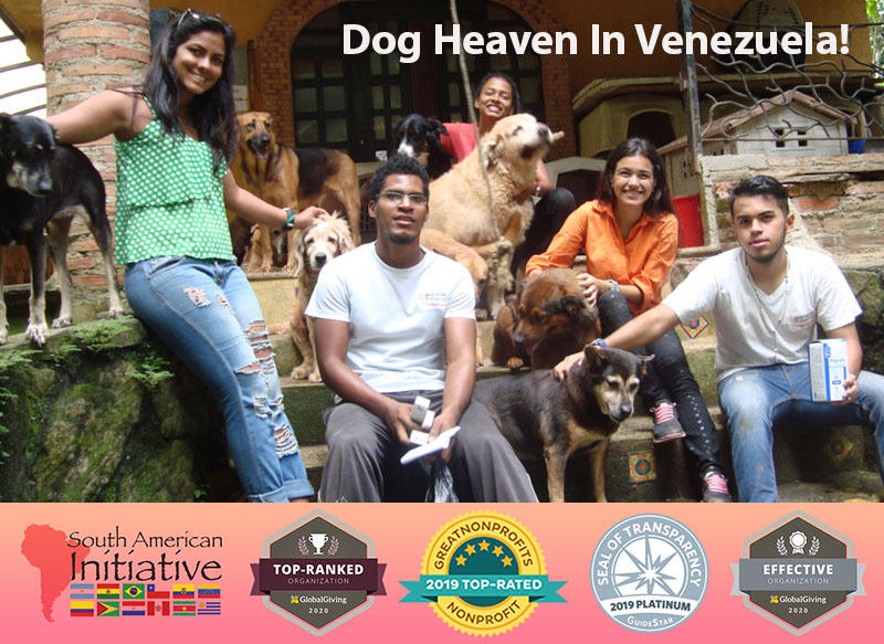 Venezuela | Helping Abandoned Pets