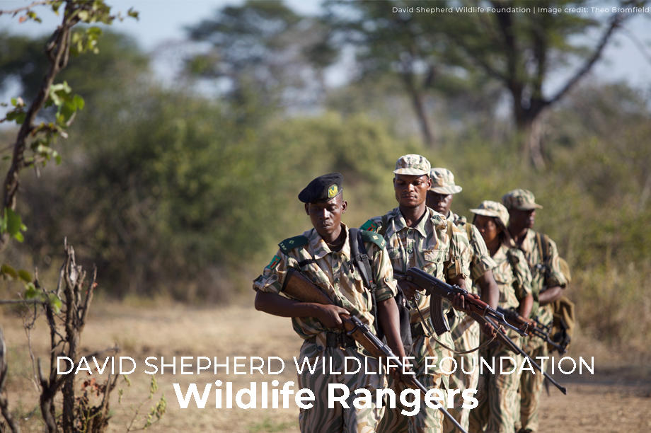 Wildlife Rangers