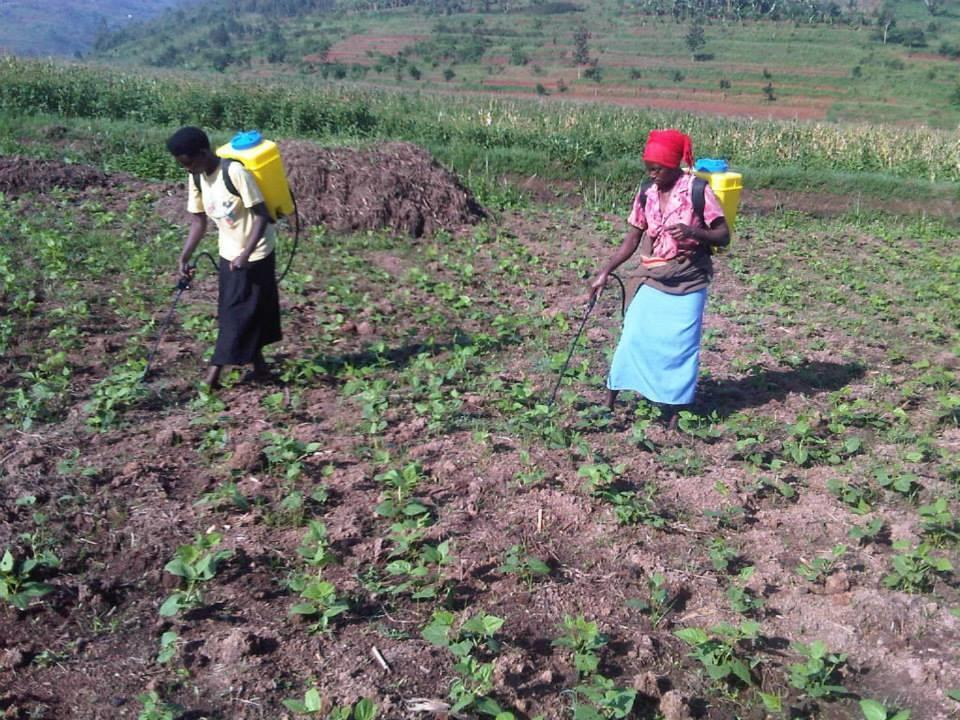 Women Empowerment for Sustainable Development