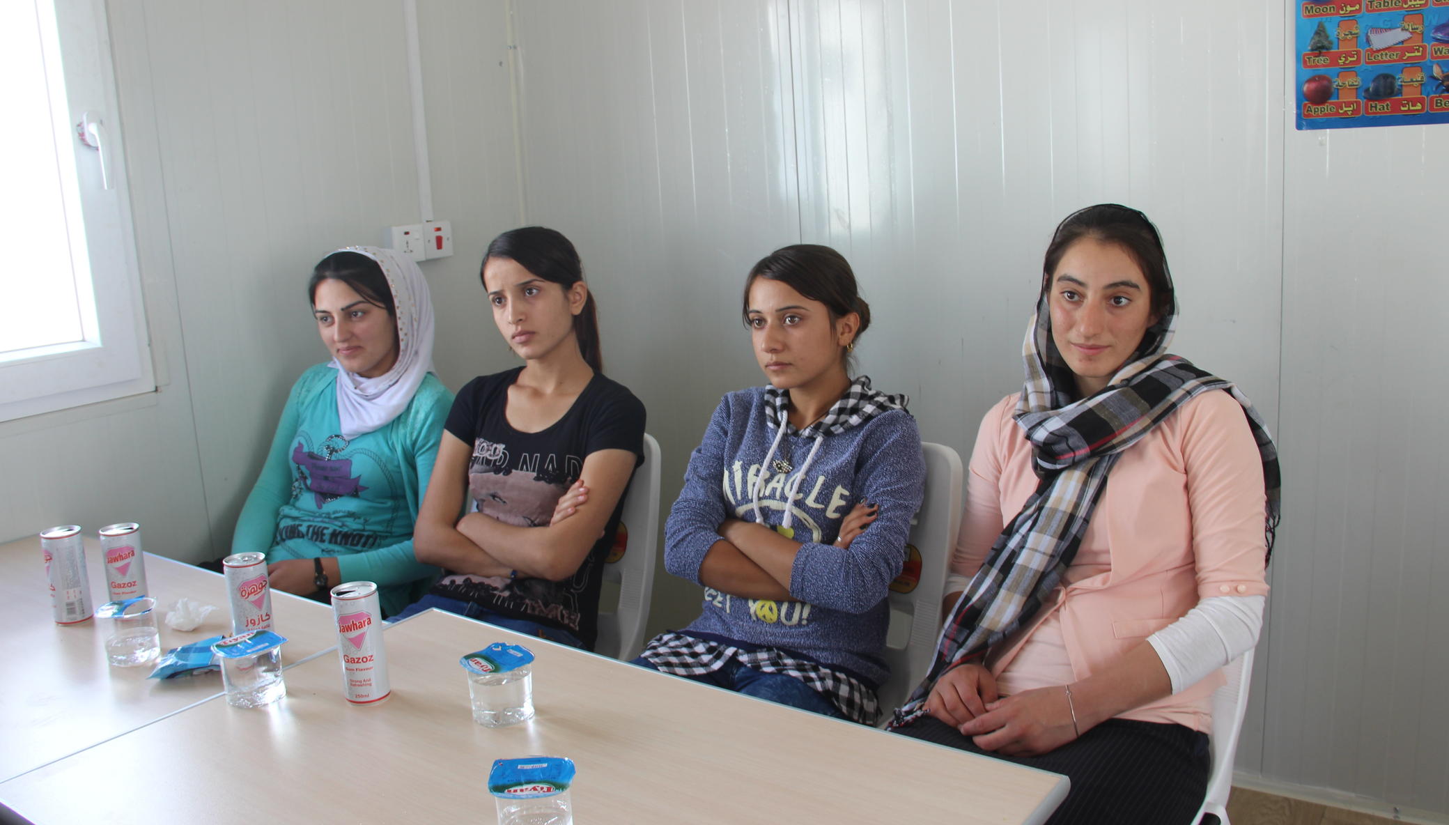 Yezidi Women's Services
