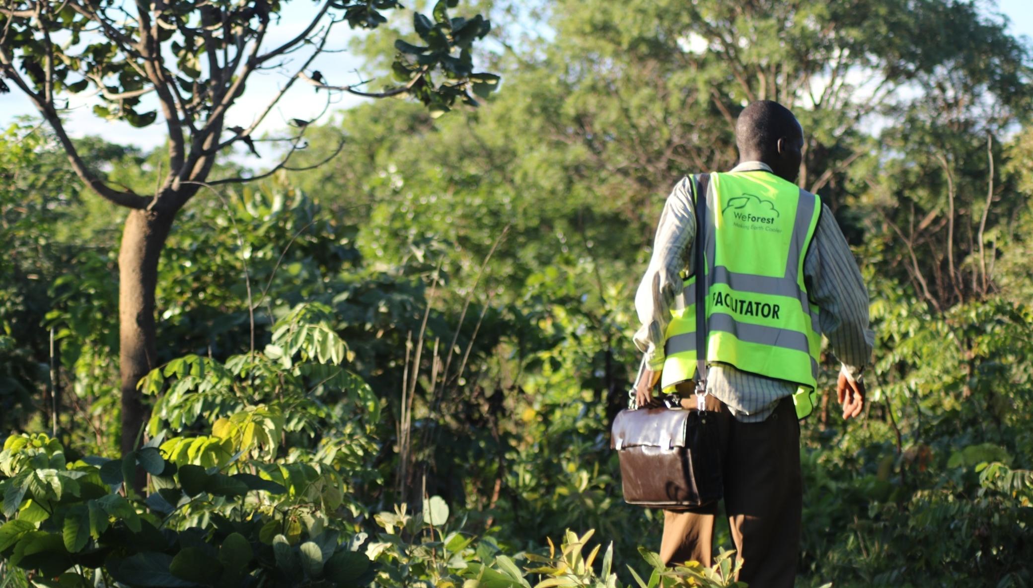 Zambia: radioeins (rbb) is reversing deforestation