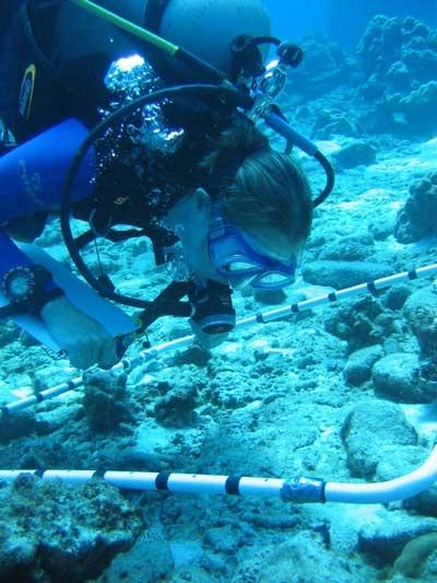 Illegal and Overfishing is Killing Our Oceans